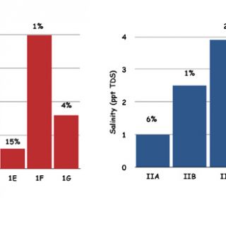 Figure 10 (A)